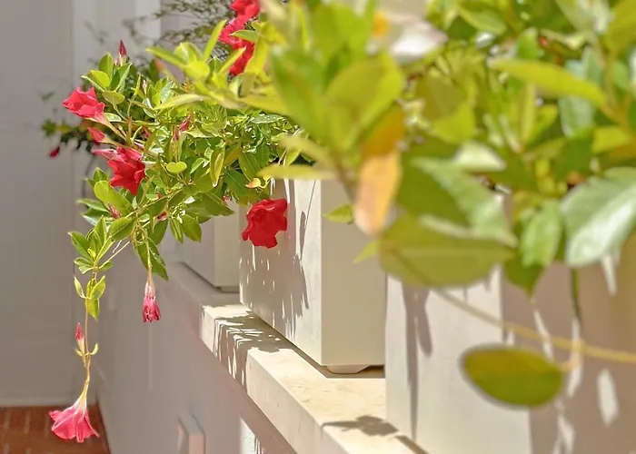 Elisea Your Escape Penzion Polignano a Mare