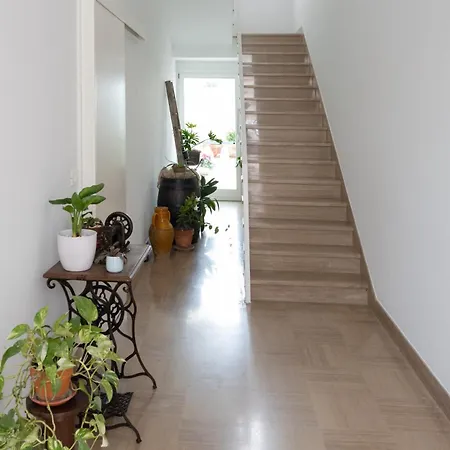 Elisea Your Escape 폴리나노 아마레