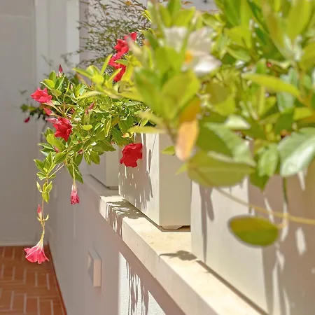 Elisea Your Escape Гостевой дом Полиньяно-а-Маре